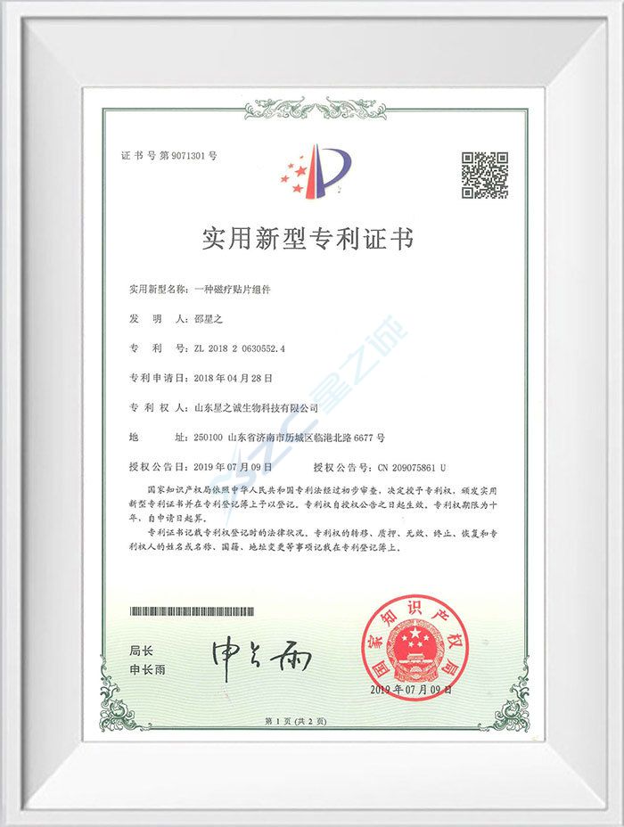 一种磁疗贴片组件