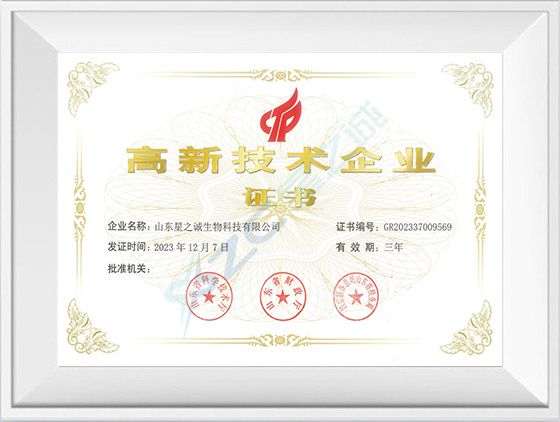 高新技术企业证书